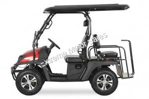 TrailMaster Taurus 200GX EFI UTV Golf cart extended roof ,4 seater
