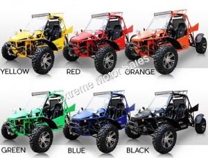 800cc dune buggy