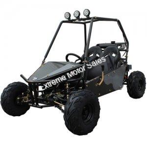 RAIDER 125cc Kids Go Cart Go Kart Dune Buggy 2 Seater
