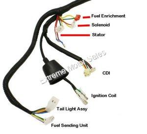 Wiring Harness Complete 150cc 125cc 4-stroke GY6 engine Sport Style scooters