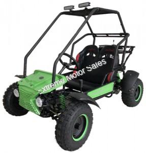 coolster 250cc buggy