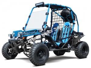 off road dune buggy