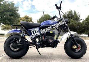 Trailmaster Hurricane 200X Gas Mini Bike Retro Dirt Bike Baja