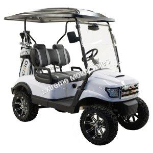 Massimo MGC2 48v Electric Vehicle Golf Cart Electric- 2 Seat