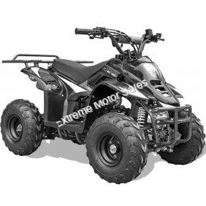 MT-ATV-Rex-110cc
