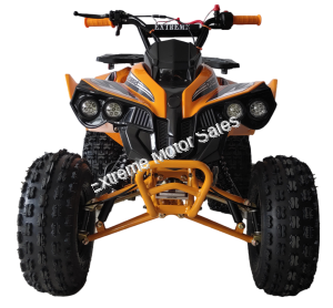 Max Pro Quad Kids 125cc ATV Fully Automatic 4 Wheeler Utility