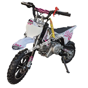 SYXMoto 60cc Mini Dirt Bike Fully Automatic Pit Bike - PAD60-1 Kids Youth