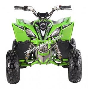 Pentora 125cc EFI ATV Kids Quad Automatic with Reverse 4 Stroke Gas