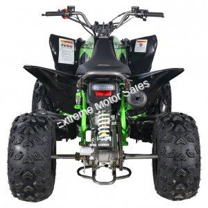 Pentora 150cc ATV Sport Quad 4 Wheeler Automatic Transmission
