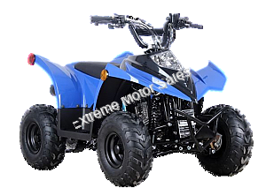 Racer 110cc Kids ATV Quad with Reverse Youth 4 Wheeler