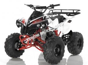 Razor 125cc Sport Big Kids ATV