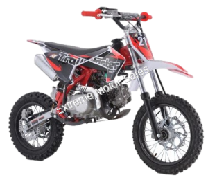 TrailMaster TM11 Kids Dirt Bike 110cc Fully Automatic Pit Bike
