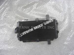 Tank Touring 250cc Scooter Radiator Water Cooled 260