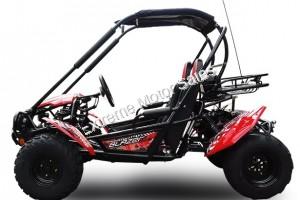 Trailmaster Blazer 200 Go Kart Go Cart Full Size Adult Buggy