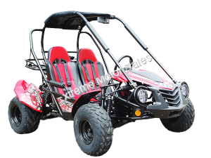 Trailmaster Blazer 200 Go Kart Go Cart Full Size Adult Buggy