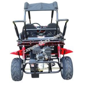 Trailmaster Blazer 200R Go Cart GoKart for Kids- Extreme Motor Sales