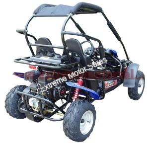 Trailmaster Blazer 200R Go Cart GoKart for Kids- Extreme Motor Sales