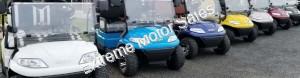 ICON i20 Electric Street Legal Golf Cart 2 Seat Neighborhood Vehicle
