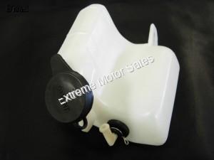 Tank Touring 250cc Scooter Radiator Coolant Bottle