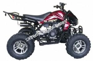 Extreme Cougar 200cc Sport ATV 4 Wheeler Quad Automatic Transmission
