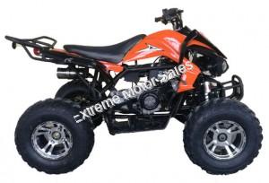 Extreme Cougar 200cc Sport ATV 4 Wheeler Quad Automatic Transmission