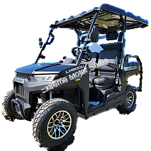 Crossfire 200 EFI 200cc SXS UTV Golf Cart Neighborhood Vehicle