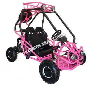 youth off road go kart