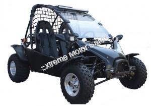 extreme off road buggy