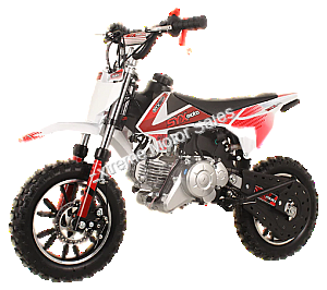 SYXMoto PAD60-1 60cc Mini Dirt Bike Fully Automatic Pit Bike