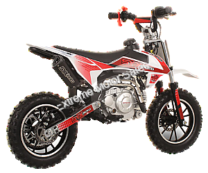 SYXMoto PAD60-1 60cc Mini Dirt Bike Fully Automatic Pit Bike