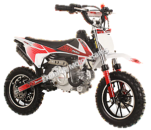 SYXMoto 60cc Mini Dirt Bike Fully Automatic Pit Bike - PAD60-1 Kids Youth