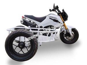 Fuerza 125CC 3-WHEEL Motorcycle with Side Car | PMZ125-1S