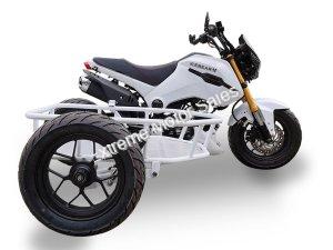 Extreme Motor Sales, Inc > 125cc Motorcycles > FUERZA 125CC 3-WHEEL