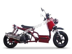 Pitbull 50cc Gas Scooter Honda Ruckus Clone Lowered and Streched FAT REAR TIRE