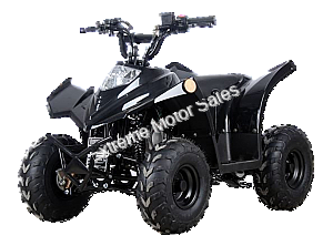 Racer 110cc Kids ATV Quad with Reverse Youth 4 Wheeler
