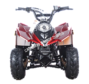 Racer 110cc Kids ATV Quad with Reverse Youth 4 Wheeler