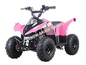 Racer 110cc Kids ATV Quad with Reverse Youth 4 Wheeler