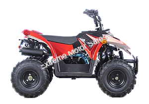 Racer 110cc Kids ATV Quad with Reverse Youth 4 Wheeler