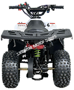 Vitacci RXR-110 Kids 110cc ATV