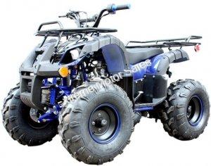 Spartan PAH125-8E Kids ATV Fully Automatic 125cc ATV with Remote Kill