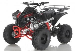 Apollo Sport Trax Kid 125cc ATV Utility Style Quad Kids Automatic 4 Wheeler