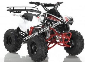 Apollo Sport Trax Kid 125cc ATV Utility Style Quad Kids Automatic 4 Wheeler