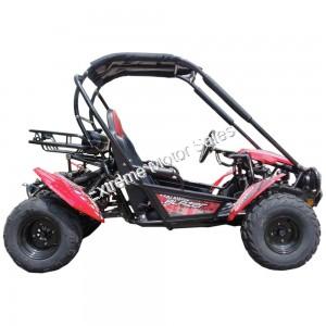 Blazer 150cc shop go kart