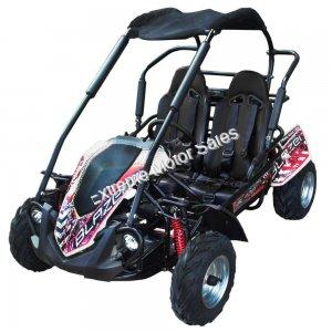 Trailmaster Blazer 200R Go Cart GoKart for Kids- Extreme Motor Sales