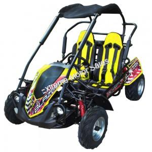 Trailmaster Blazer 200R Go Cart GoKart for Kids- Extreme Motor Sales