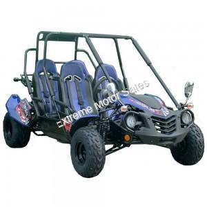 Trailmaster Blazer 4 Seat 200EX Go Cart GoKart Dune Buggy