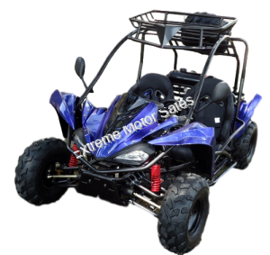 Transformer 125cc Kids Go Cart Go Kart Off Road Dune Buggy