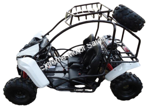 Transformer 125cc Kids Go Cart Go Kart Off Road Dune Buggy