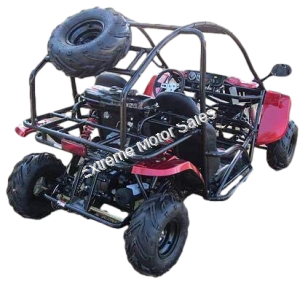 Transformer 125cc Kids Go Cart Go Kart Off Road Dune Buggy