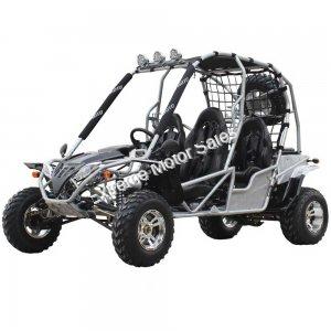 Extreme Jaguar 200cc Go Cart Go Kart Off Road Dune Buggy 4 Seater